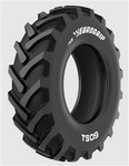 Opona 10.0/75-15.3 (260/70-15.3) Eurogrip TS09 TRACTION 10PR TL